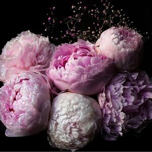 Meet your Posher, Angie